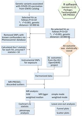 COVID-19 vaccination and the risk of autoimmune diseases: a Mendelian randomization study